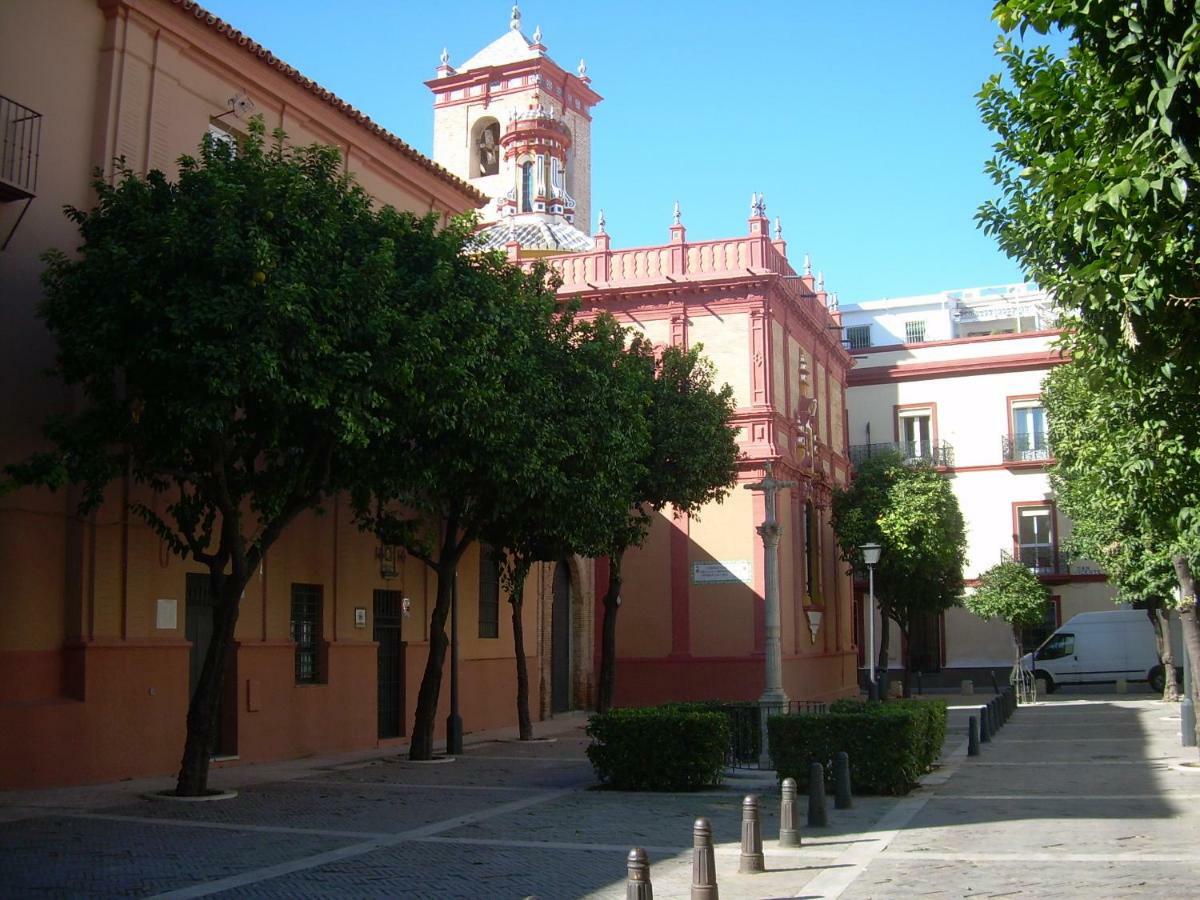 Medina And Parking Historical Center Seville