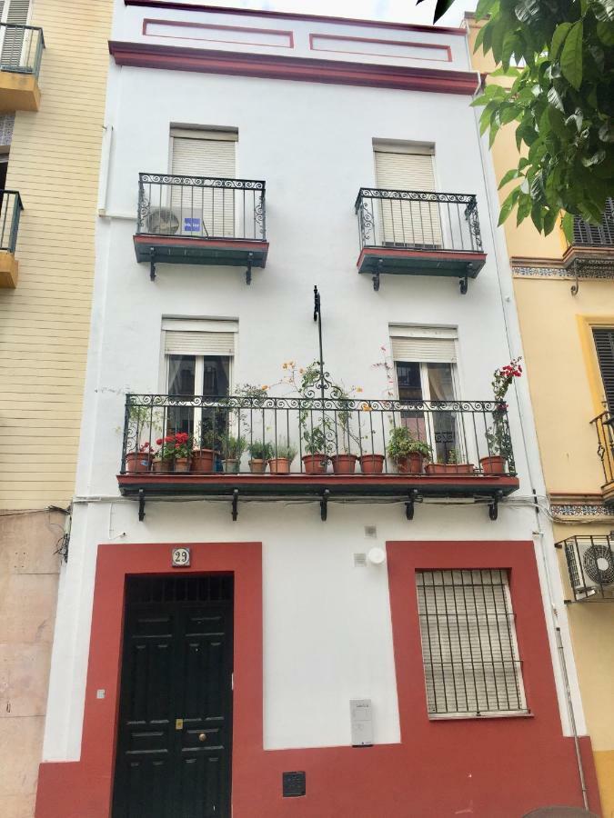 Doña María Coronel Apartamento