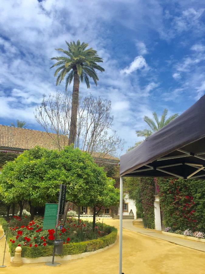 Apartamento Doña María Coronel *
