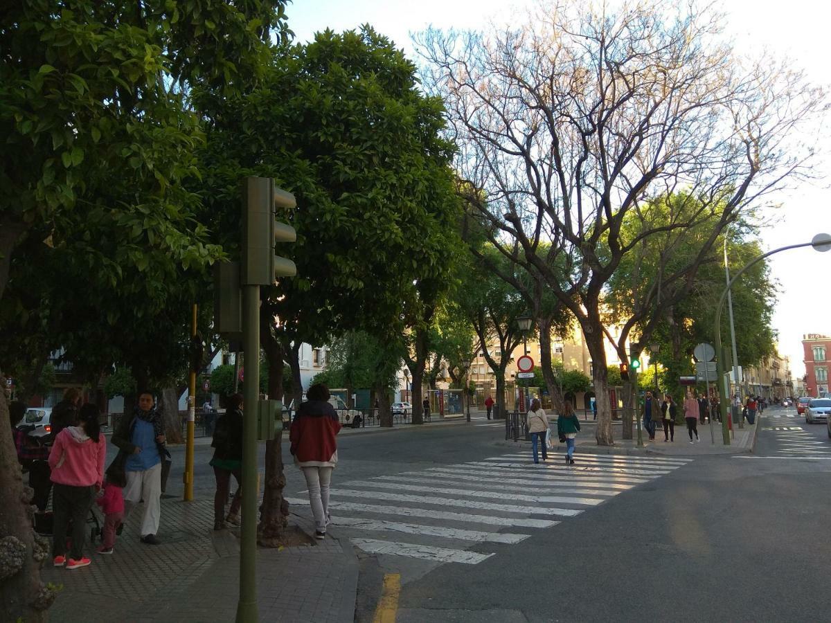 En Calle Padilla Seville
