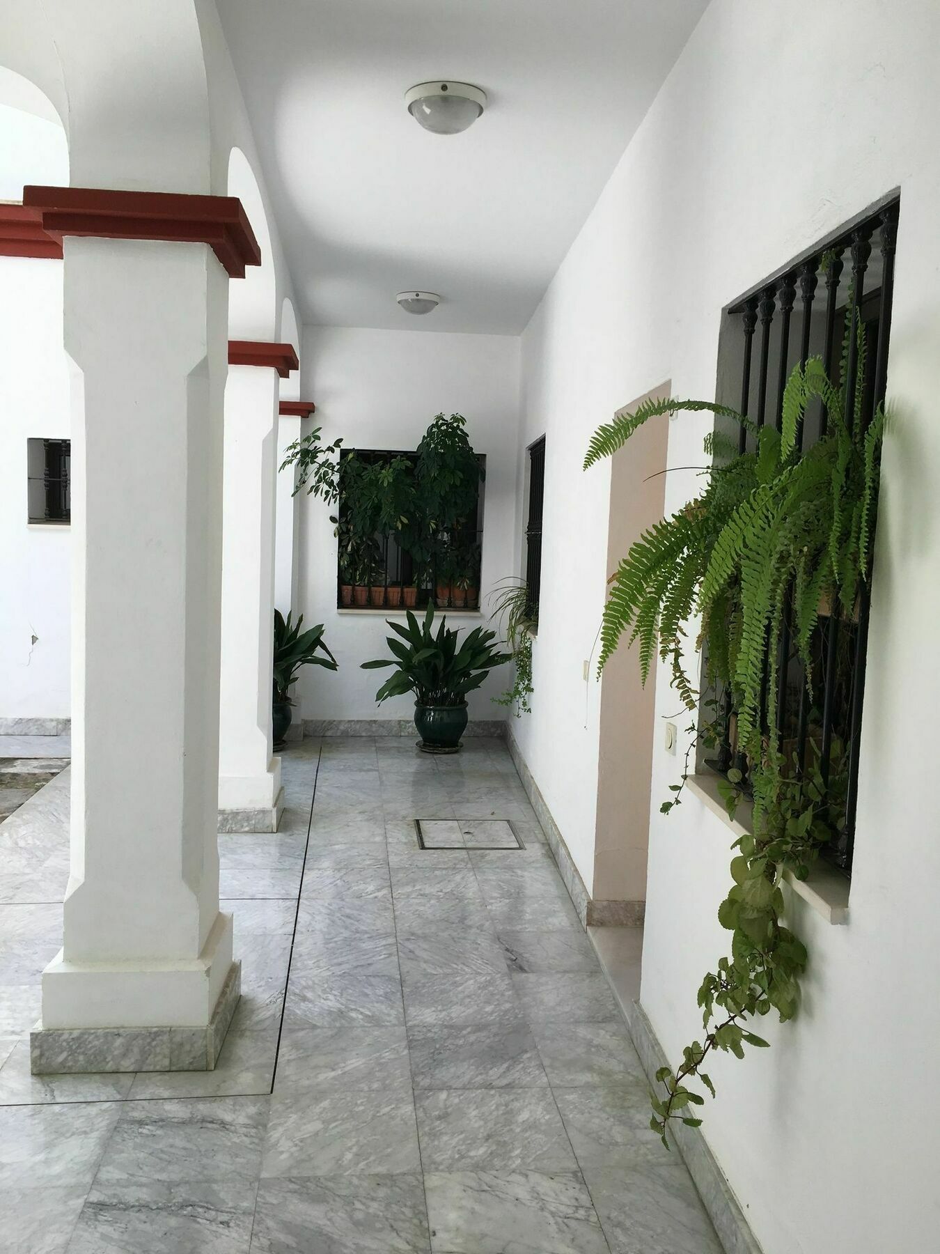 Teodosio Free Parking & Ac Apartment *