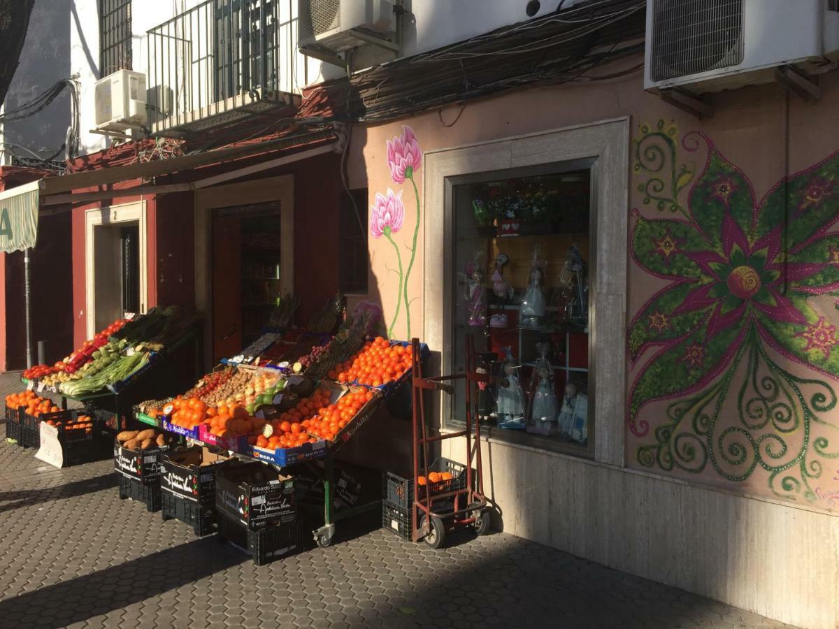 Apartamento Latidos De Triana - En Triana Totalmente Equipado