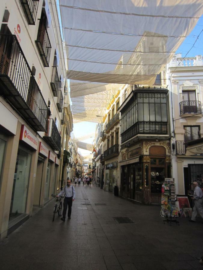Apartamento Céntrico Plaza Del Salvador