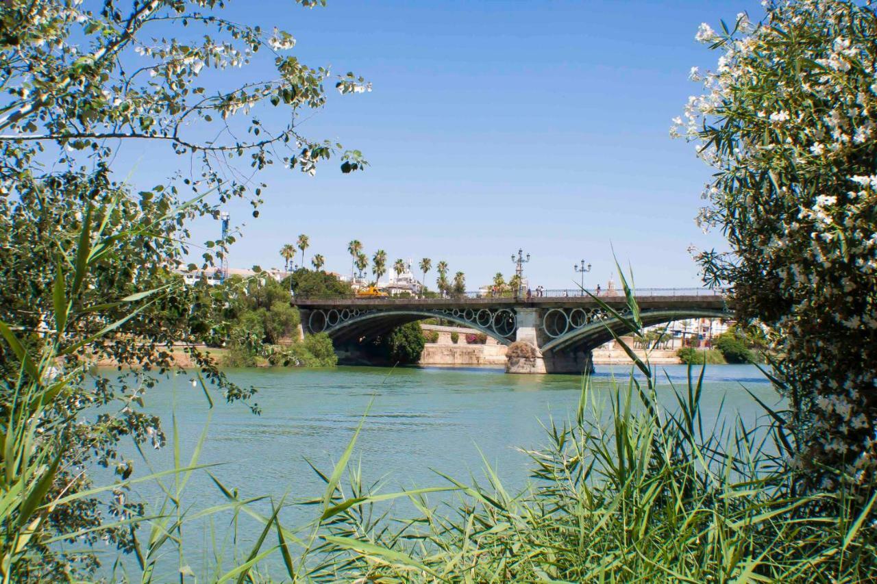 Pureza Oasis By Valcambre Sevilla