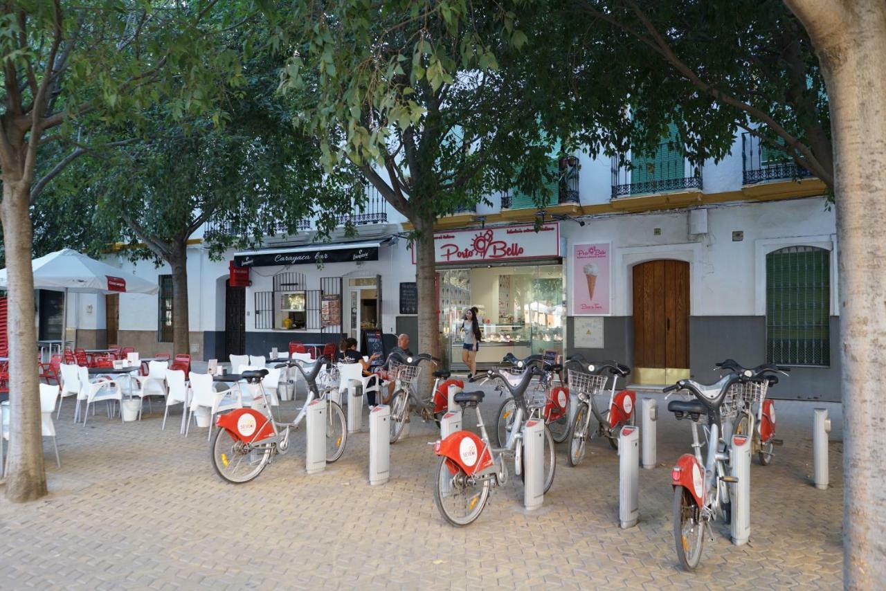 Atico Con Terraza En Alameda De Hercules