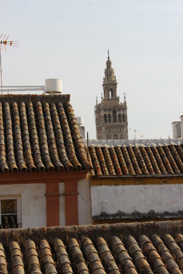Apartamento Apartamento San Isidoro, 5 *