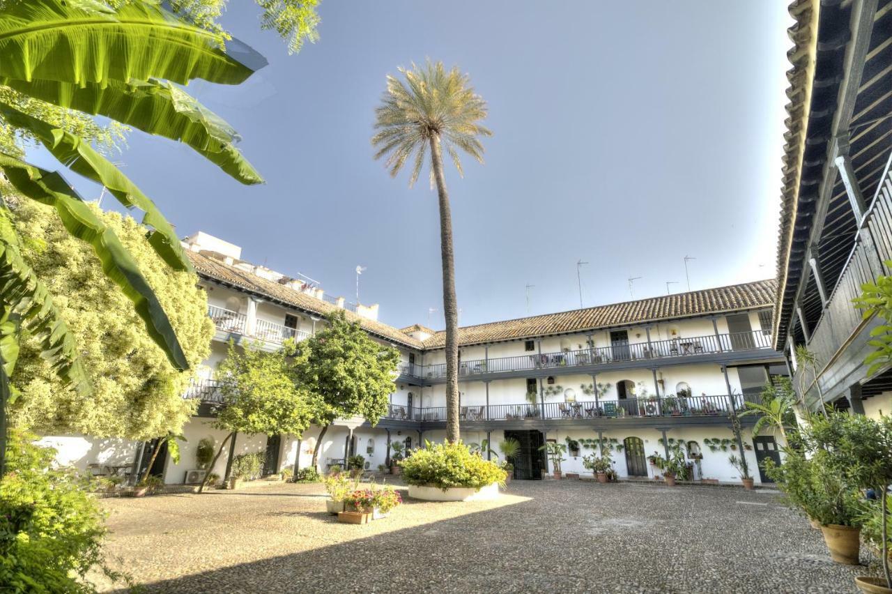 Un Oasis En El Corazon De Apartment