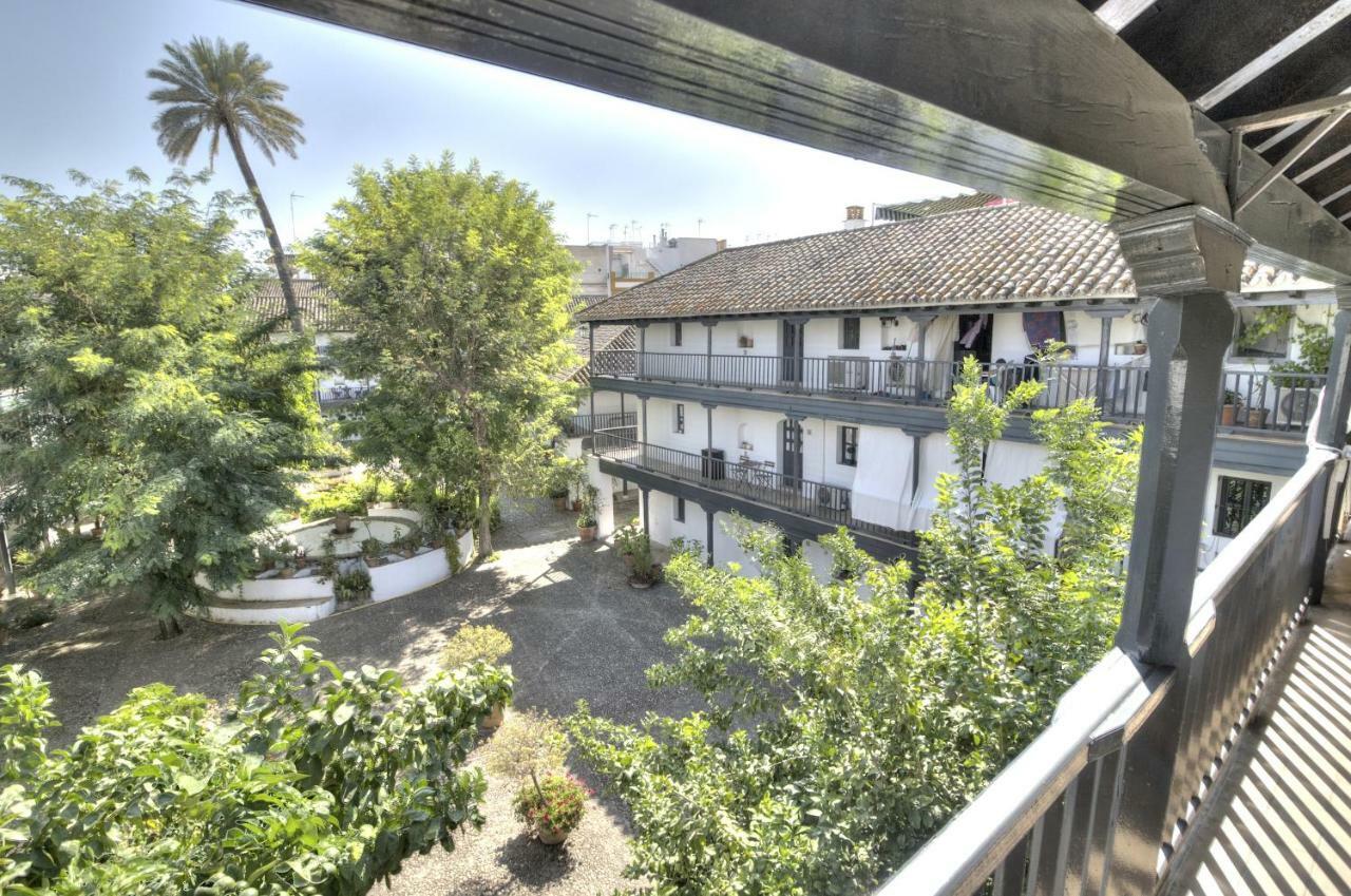 Un Oasis En El Corazon De Apartment