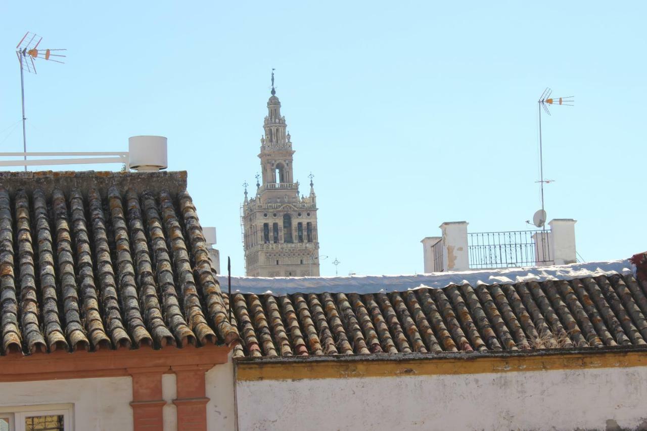 Apartamento San Isidoro, 5