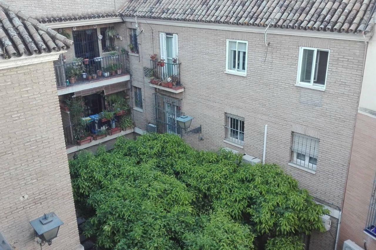 Apartment Alfalfa Seville