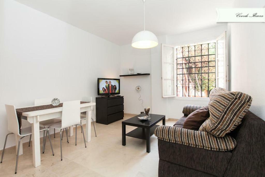 Apartamento Conde De Ibarra