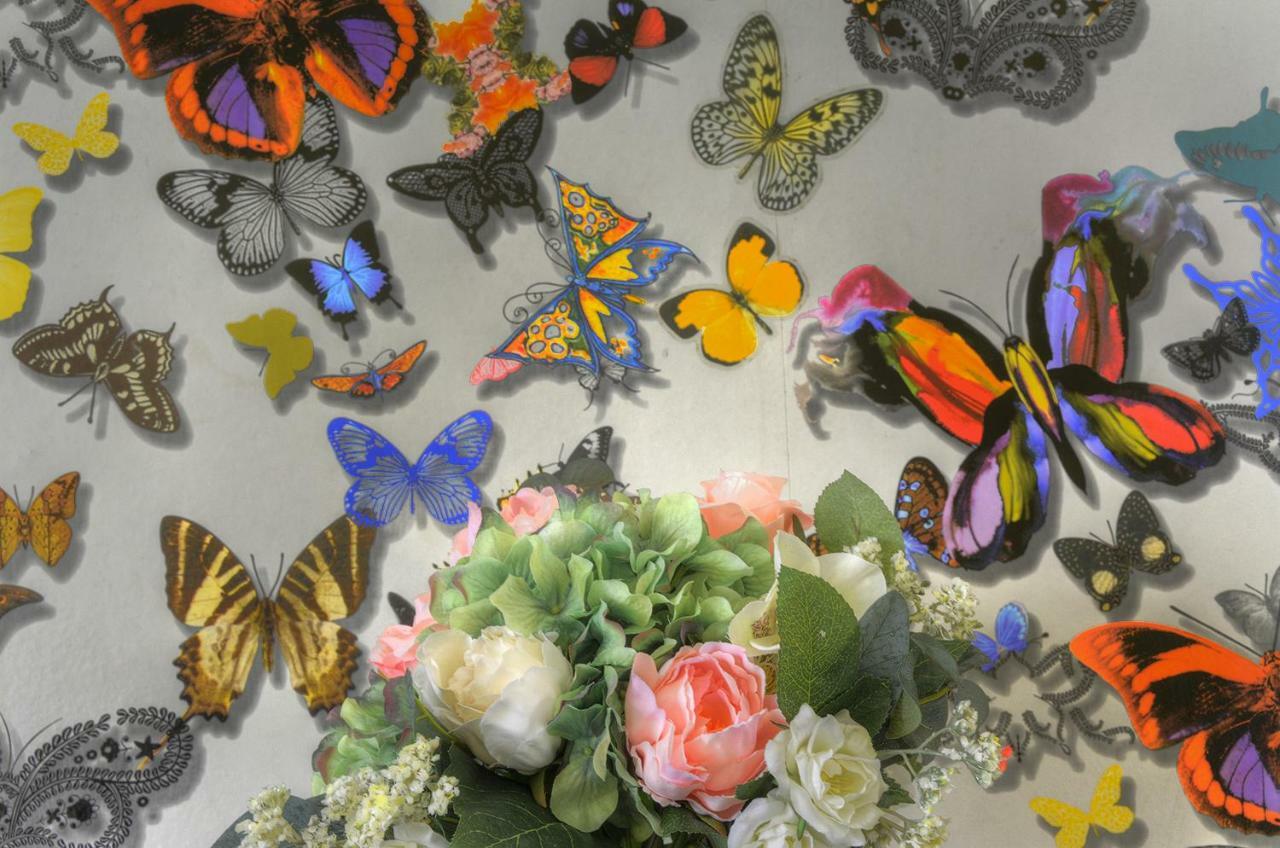 Butterfly Sevilla