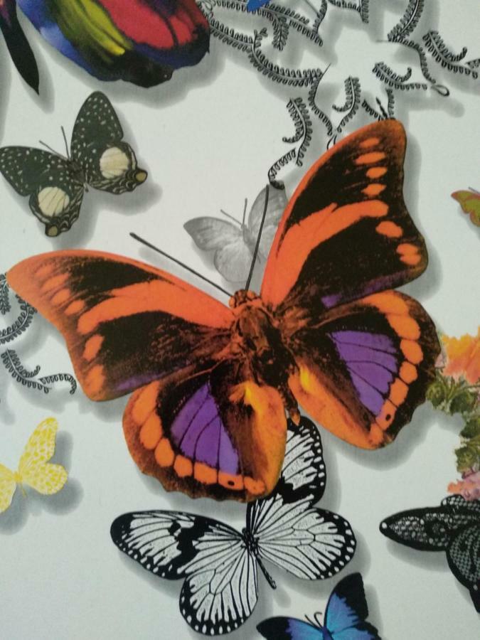 Butterfly Apartamento *