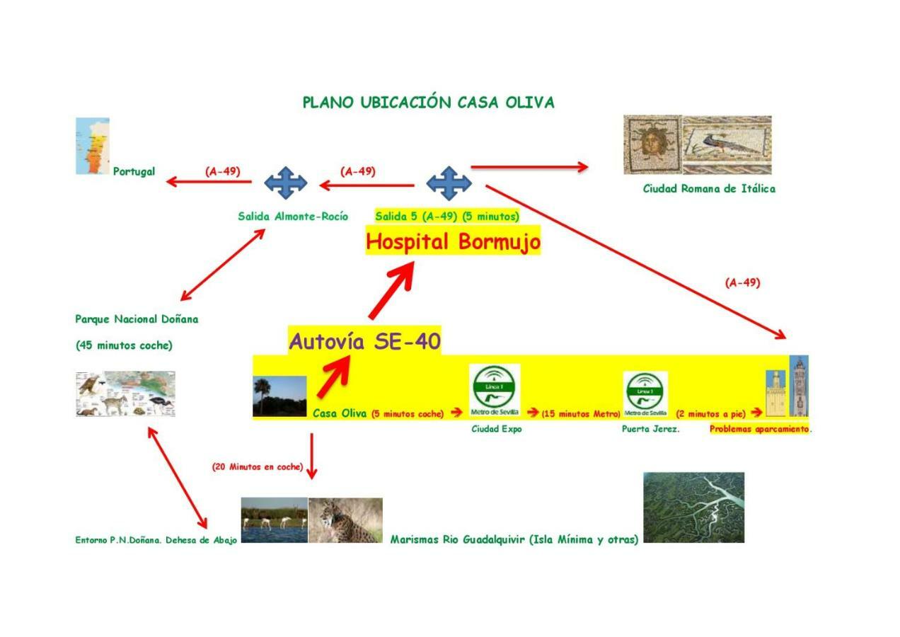 Casa Oliva 52 *