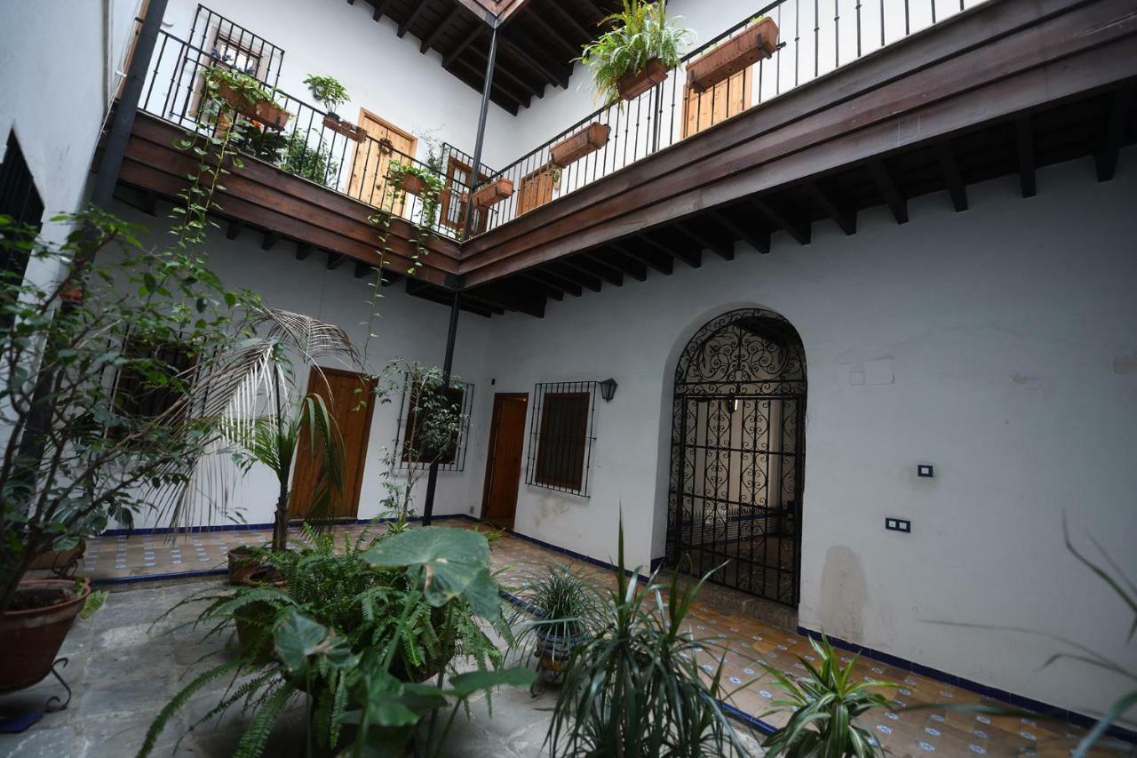 Arenal