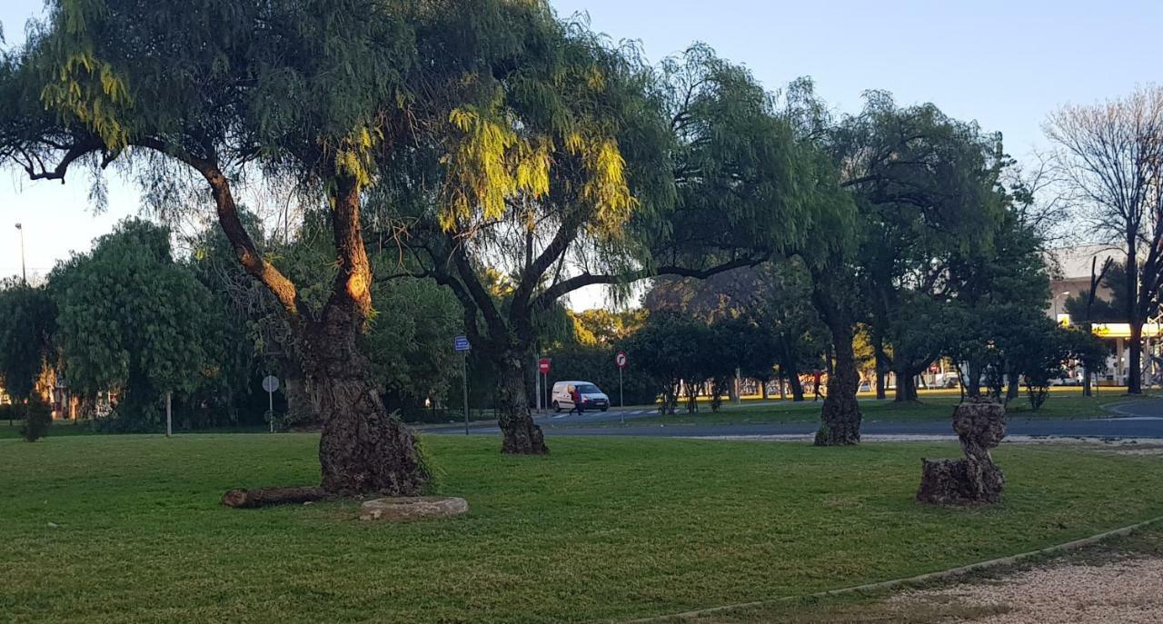 Frente A Palacio De Congresos Sevilla