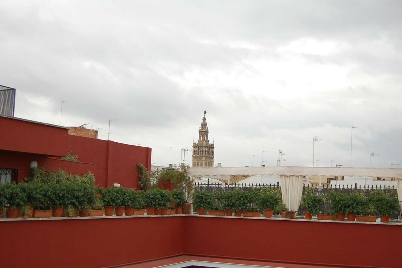 Apartamento Lirio *