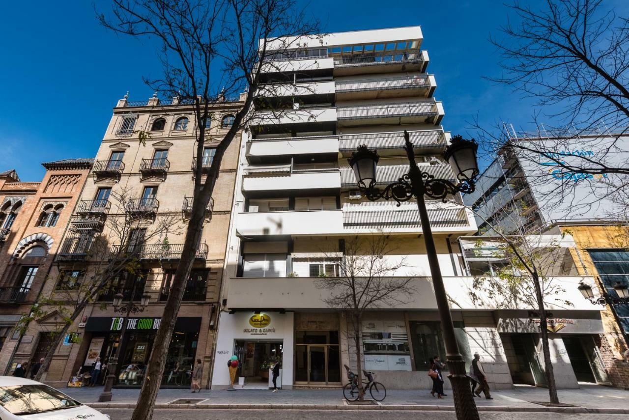 Loft Campana Ii Donkey Apartamento
