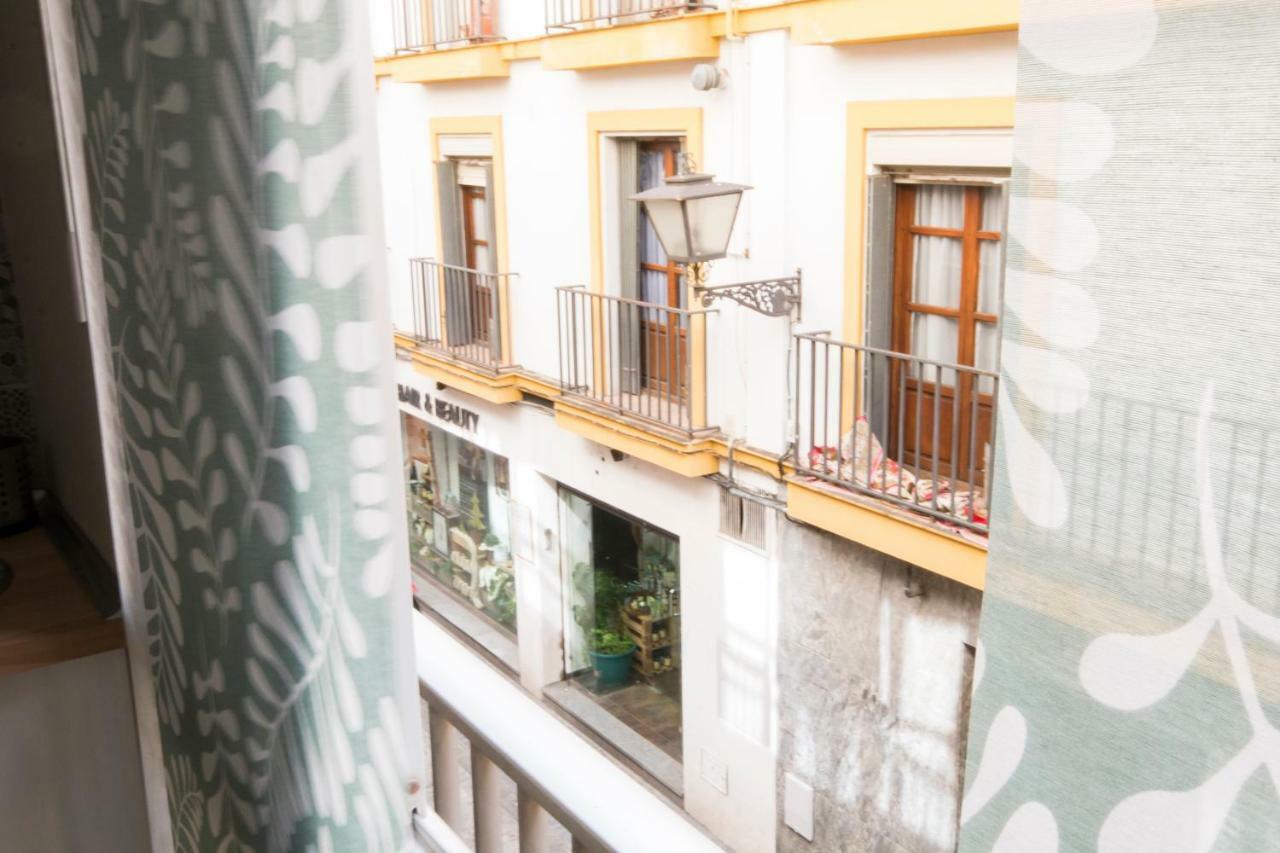 Apartamento Piso Plaza Del Duque *