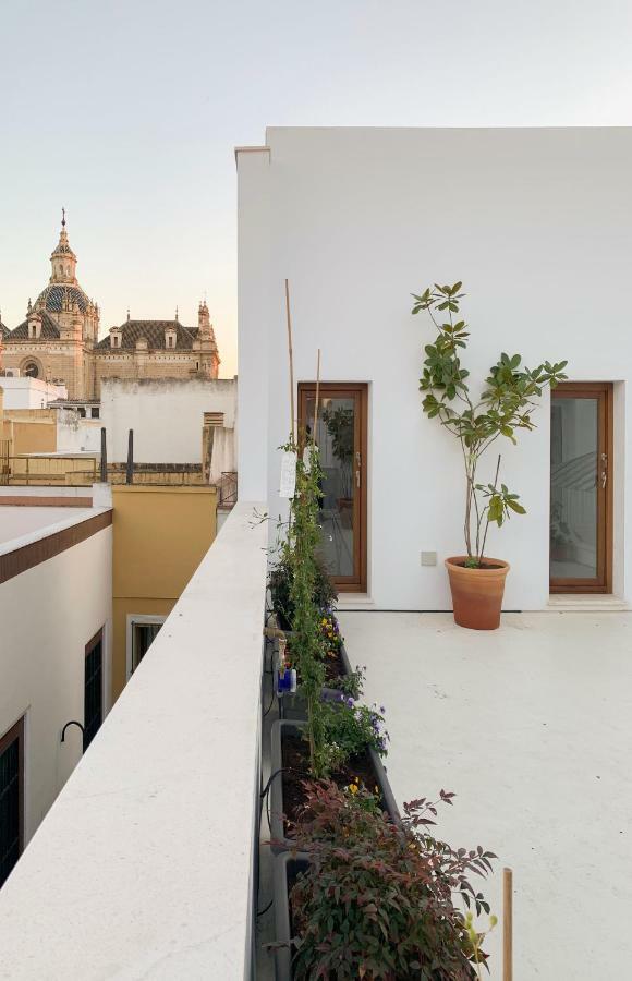 Apartment La Casa Del Lagar 10 Seville
