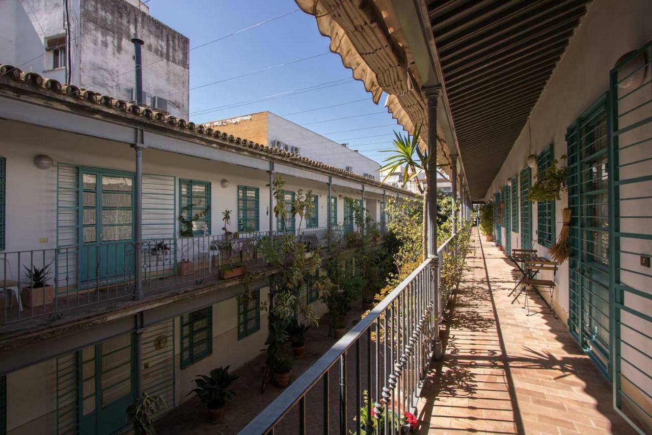 Corral Casa Grande Oasis * Sevilla
