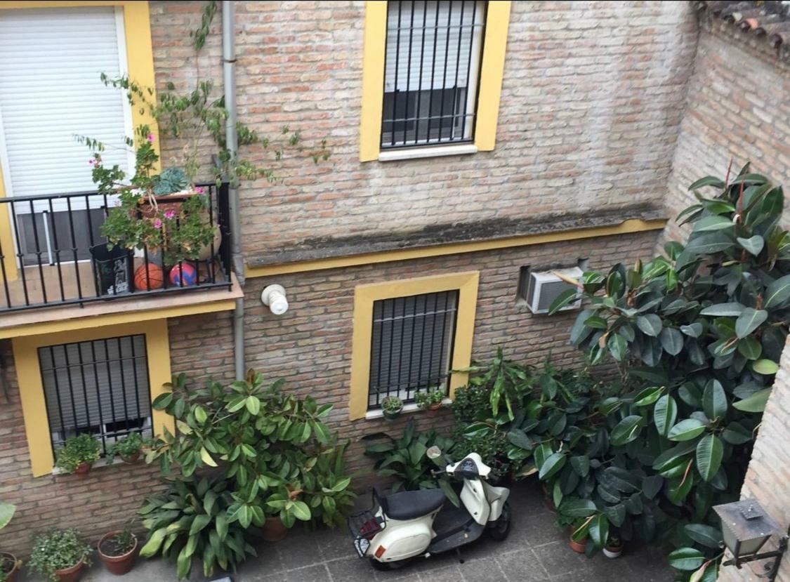 Triana, Calle Troya Apartamento