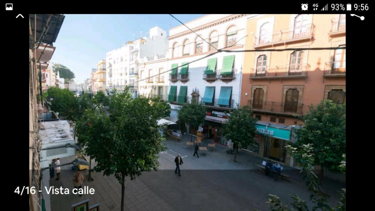 13 Calle San Jacinto Apartamento