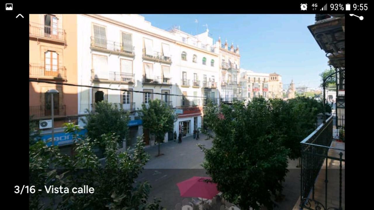 13 Calle San Jacinto Apartamento *