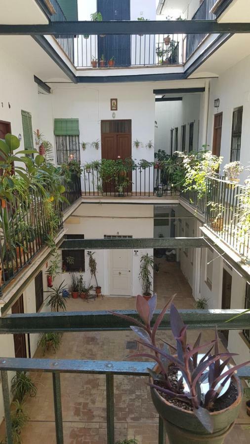 Apartamento Luxury In Triana Close To The River *