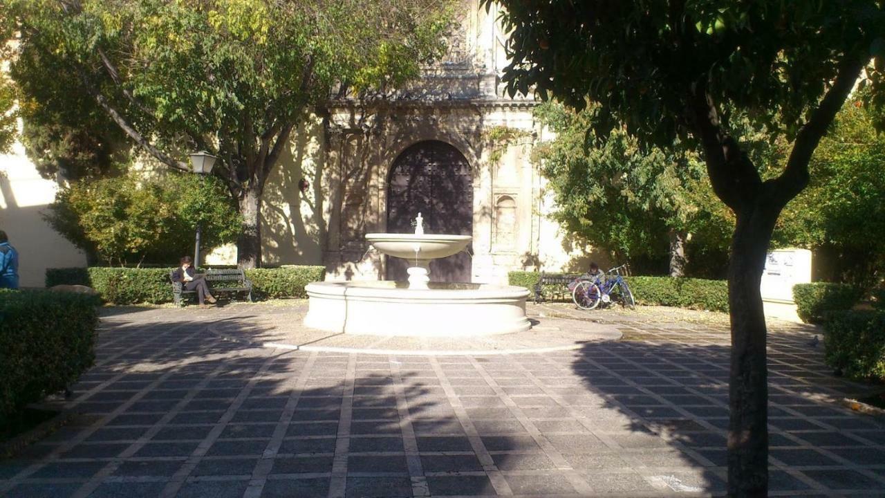 Guest house Hospederia Luna De San Marcos.