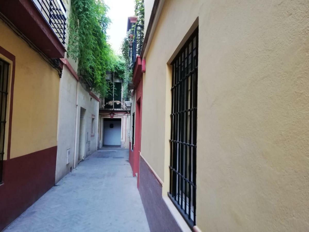 En La Judería De * Sevilla