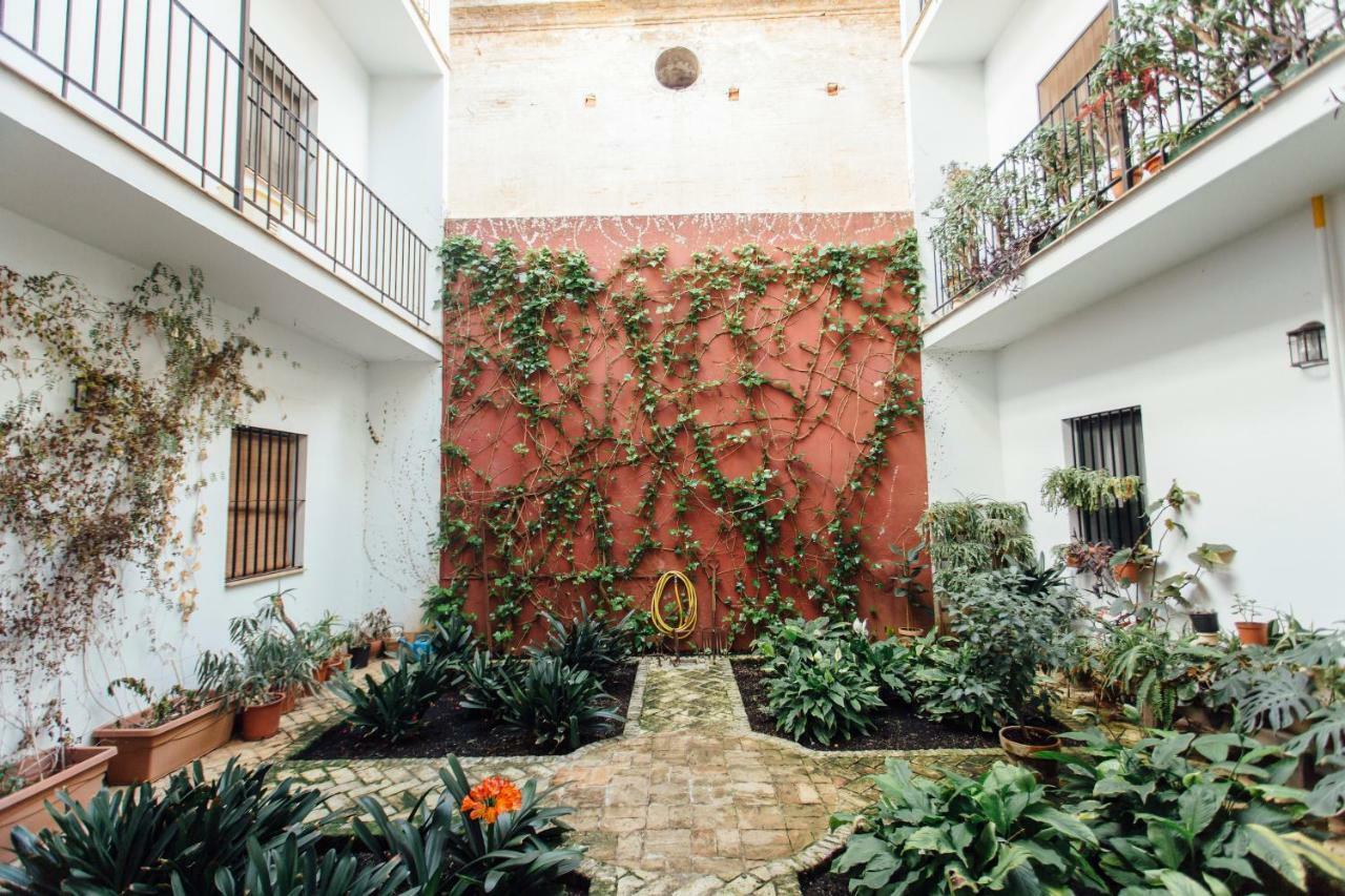 Apartamento Cse Cofia