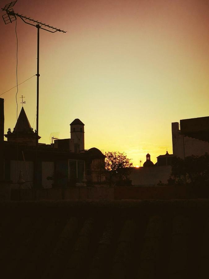 Virgen De La Luz Guest house Seville