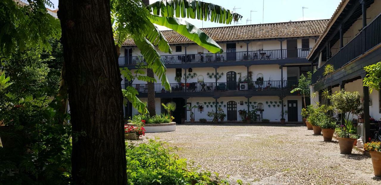 Gadi Corral Siglo Xvi