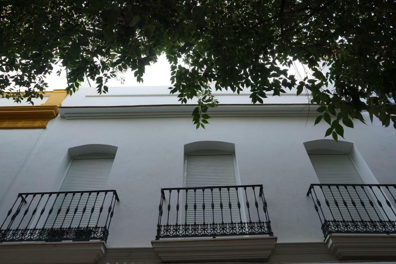 Atico Con Terraza En Alameda De Hercules Sevilla