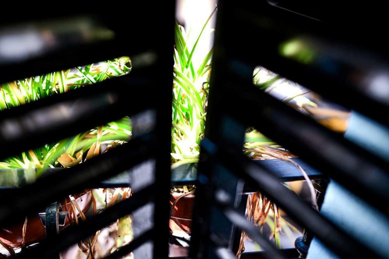 Apartamento Casa Alfalfa 2 Terraza Y Solárium Privado *