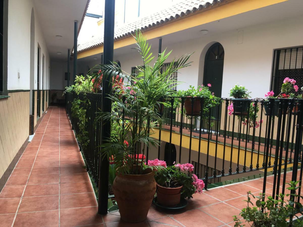 Cosy With Terrace In The Centre Of Apartment Seville
