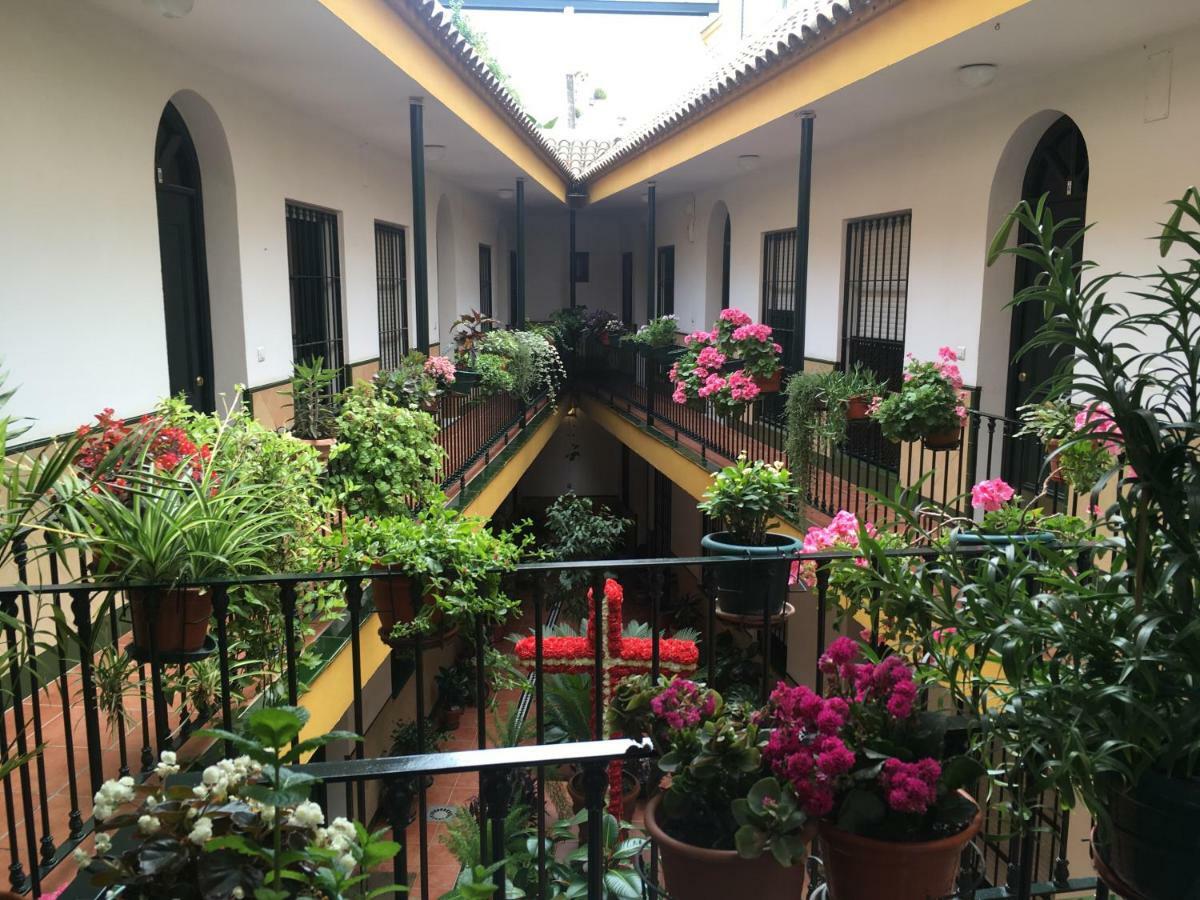 Cosy With Terrace In The Centre Of Apartment Seville