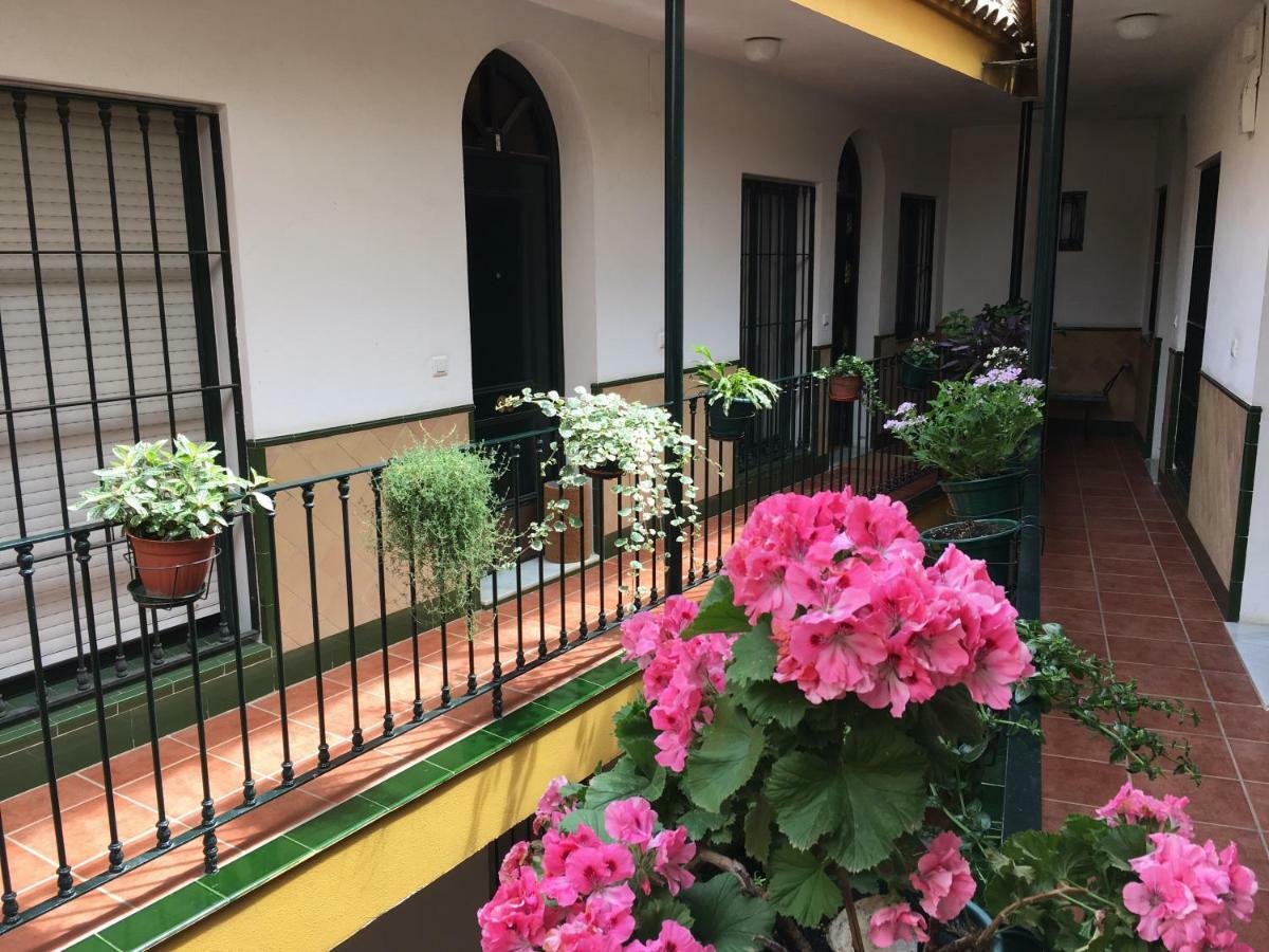 Cosy With Terrace In The Centre Of Apartment