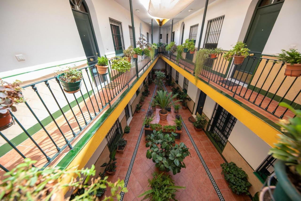 Apartment Cosy With Terrace In The Centre Of