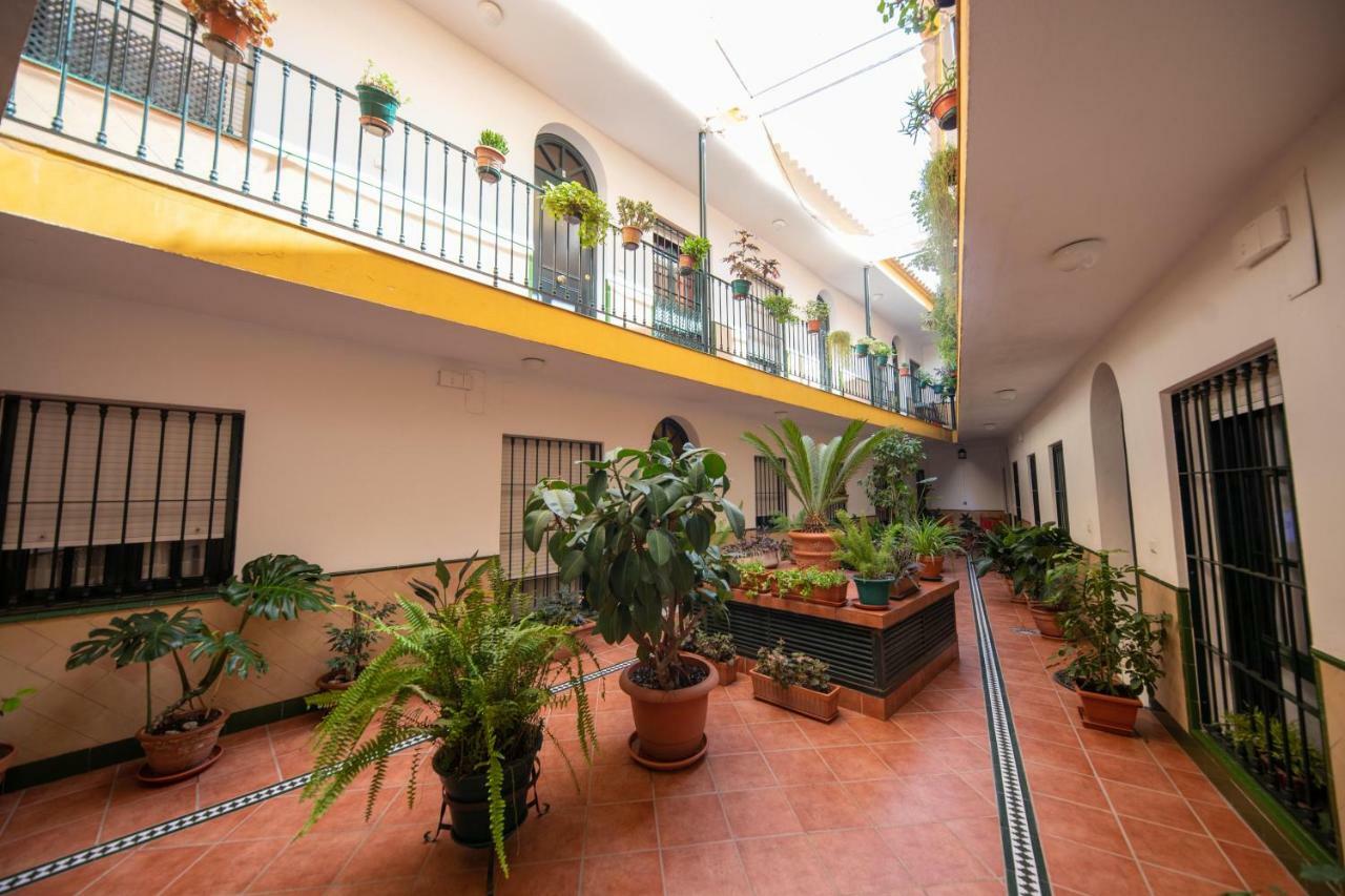 Cosy With Terrace In The Centre Of Apartment