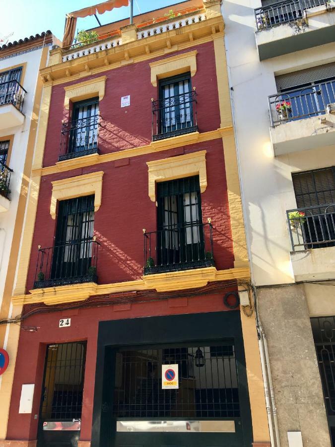 Cosy With Terrace In The Centre Of Seville