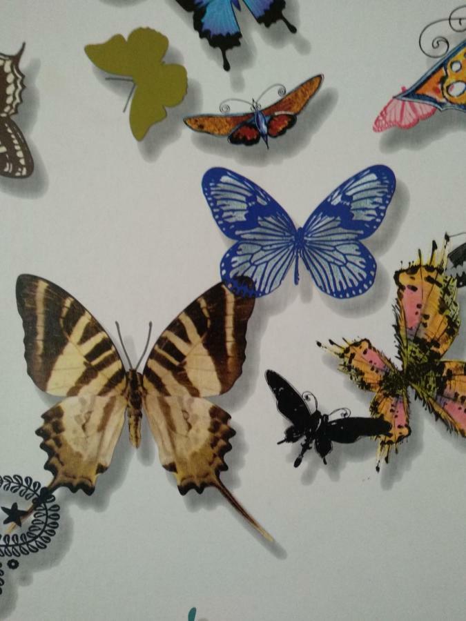 Apartamento Butterfly *