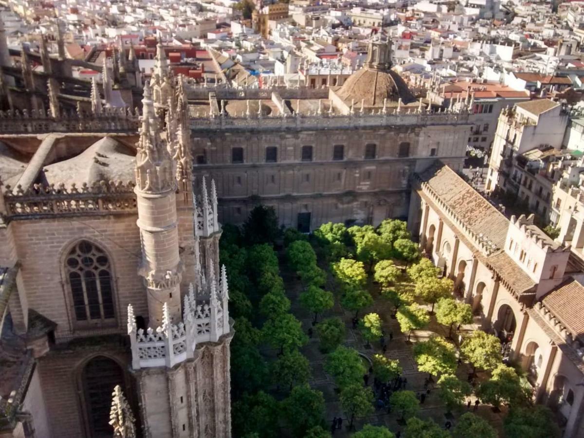 Céntrico Plaza Del Salvador Sevilla