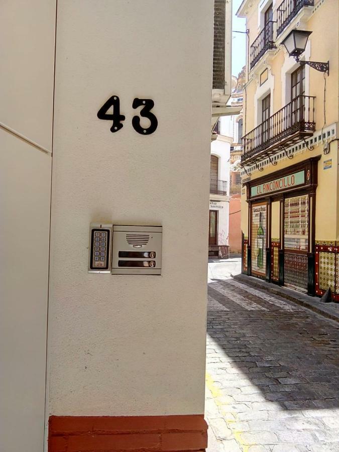 Bajo Gerona Sevilla