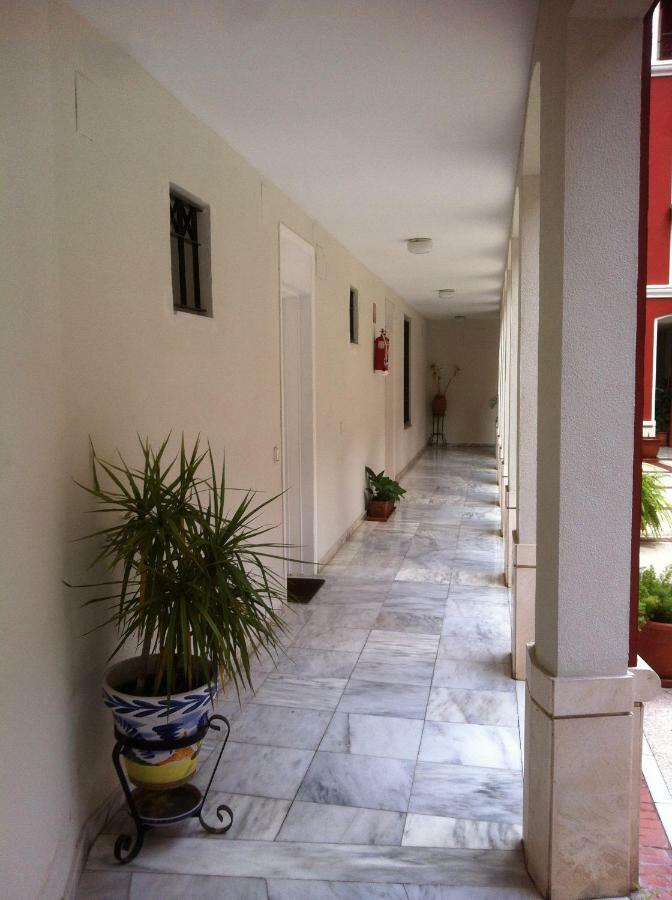 Apartamento Conde De Ibarra *