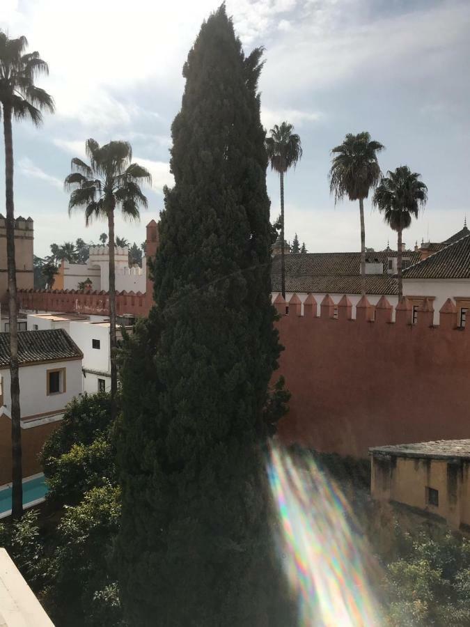 Plaza De Doña Elvira Atico- Penthouse Next To Cathedral Apartamento