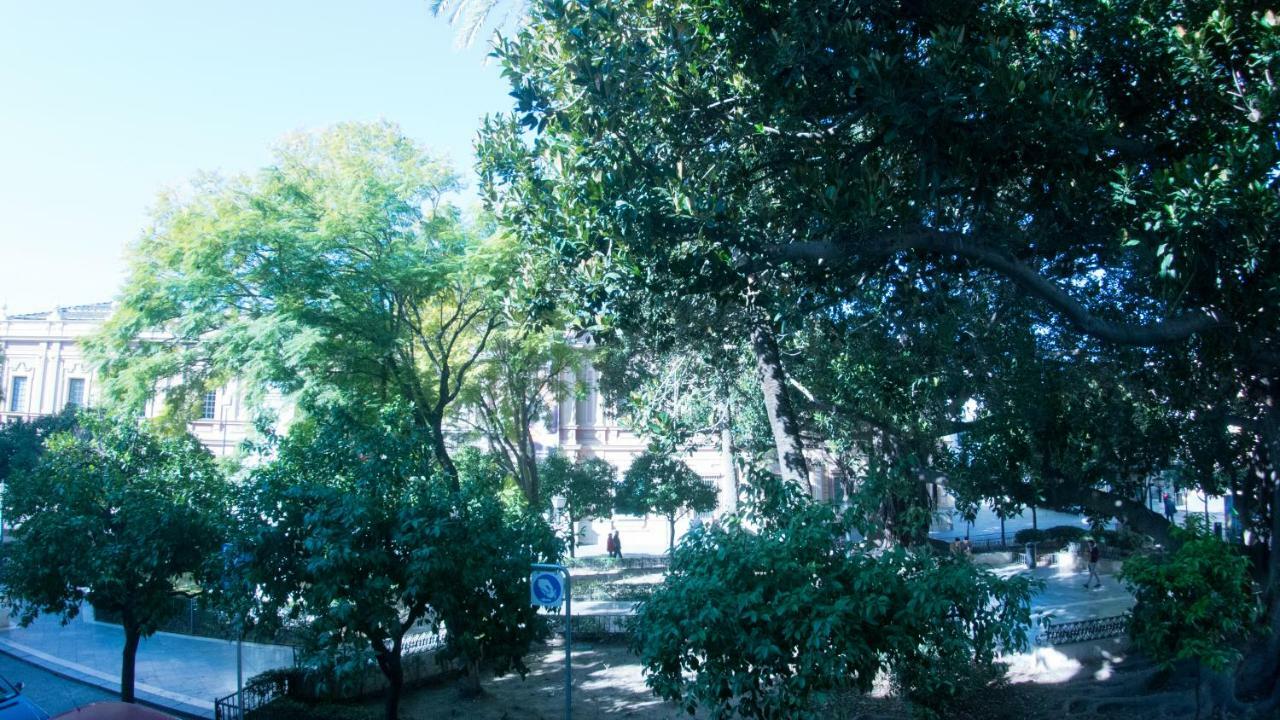Museo