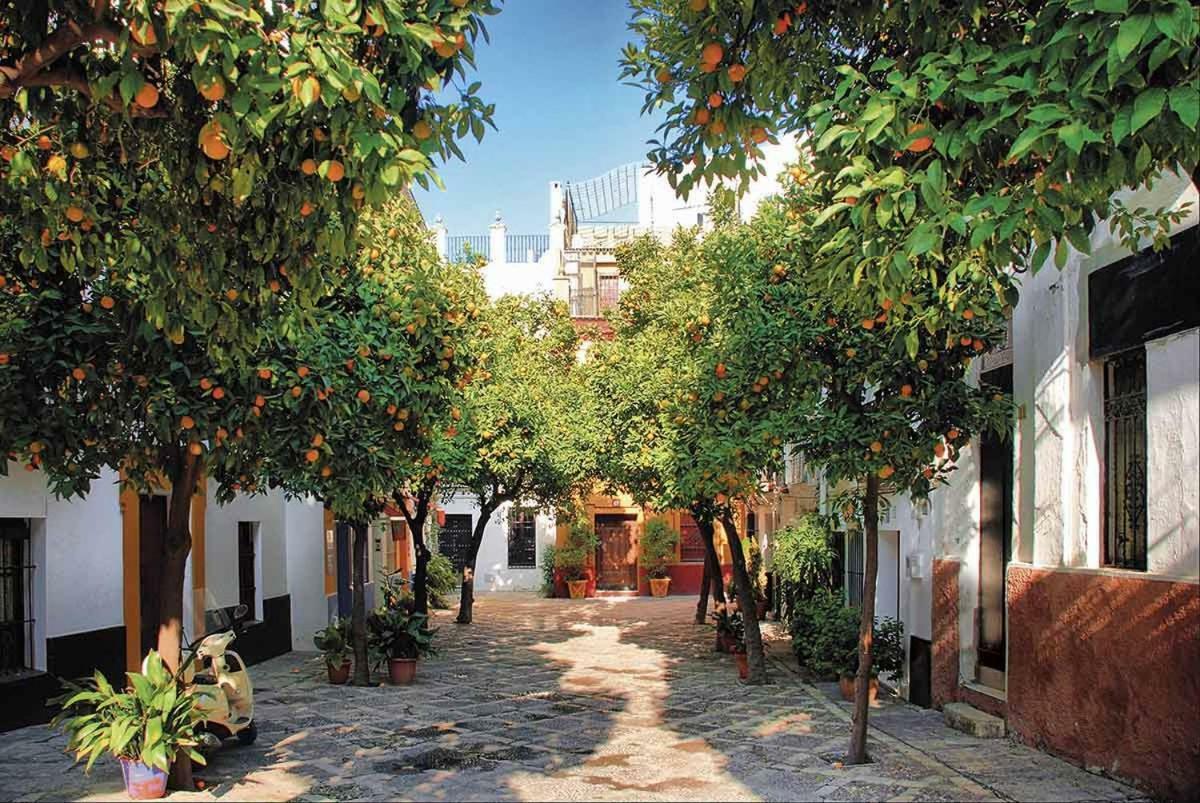 Apartamento Idilico ático En Triana-3bd+1bth *