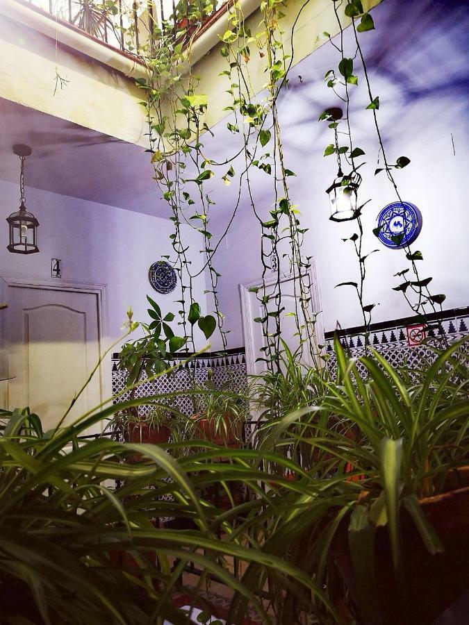 Guest house Virgen De La Luz
